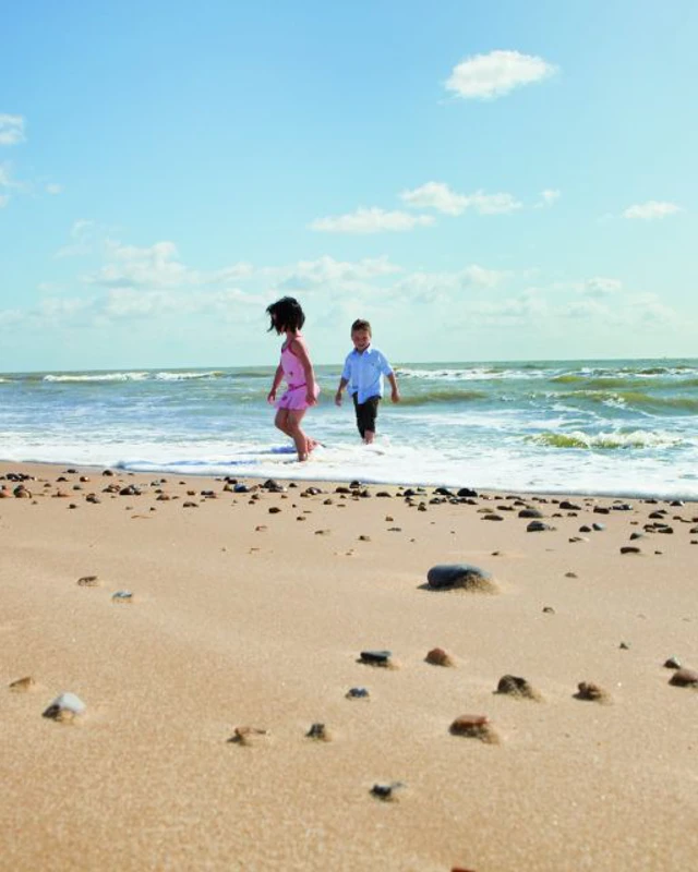 A walk along the shoreline